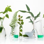 5 dôvodov, prečo si vybrať prírodnú kozmetiku